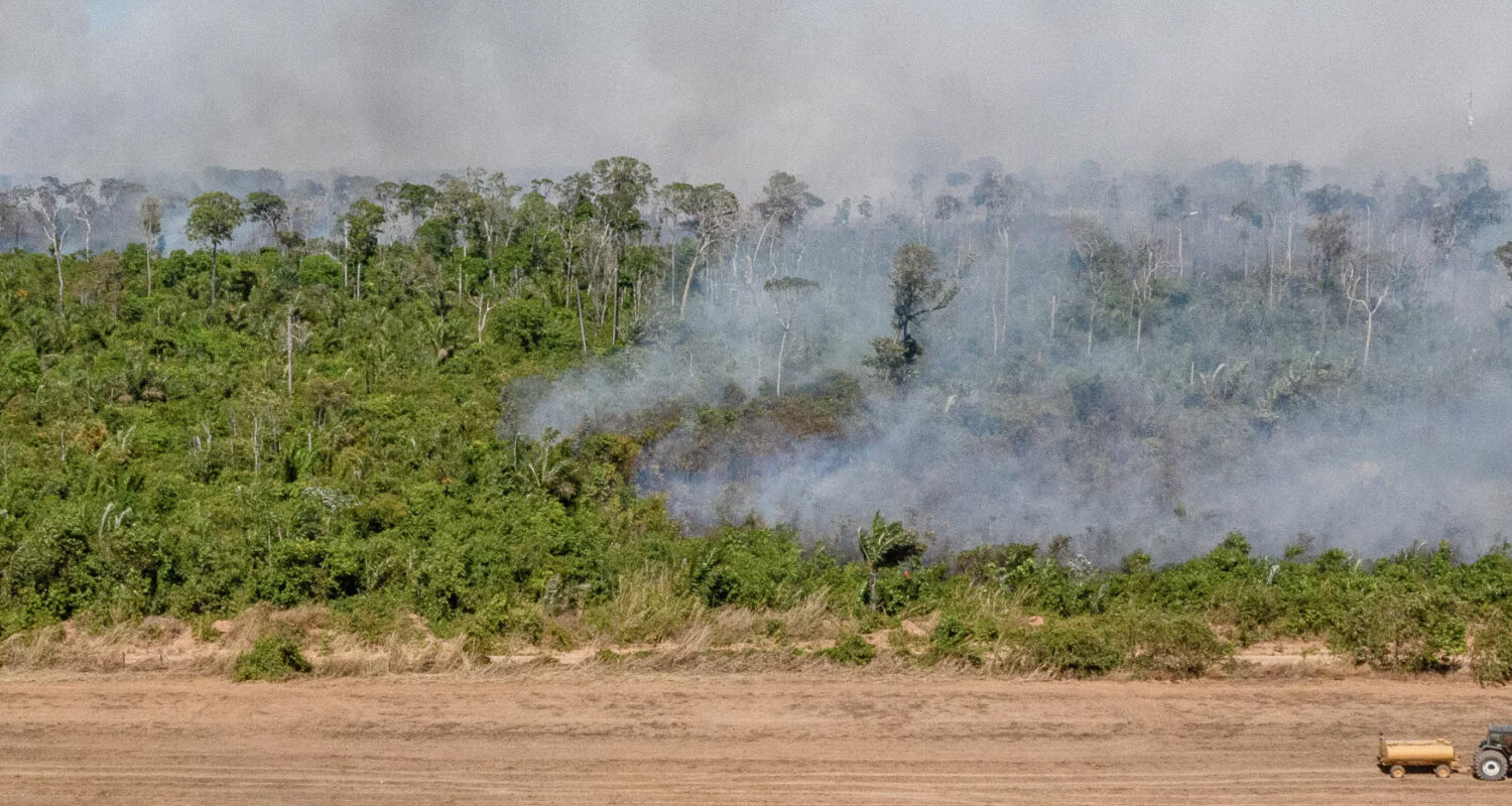 Une loi contre la déforestation causée par nos exportations