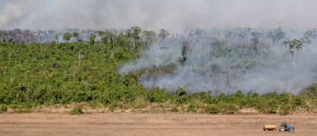 Une loi contre la déforestation causée par nos exportations