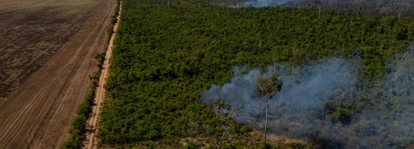 Mettre fin aux importations de soja issu de déforestation