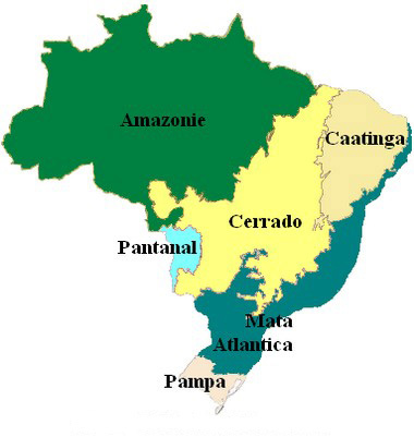 Principaux biomes du Brésil