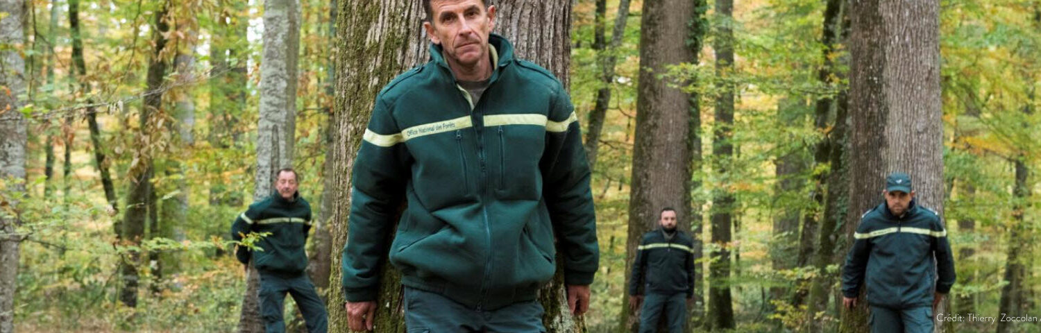 Menace sur l'ONF : la forêt en danger !