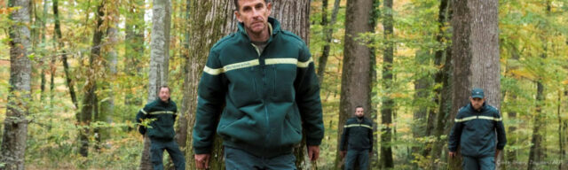 Menace sur l'ONF : la forêt en danger !