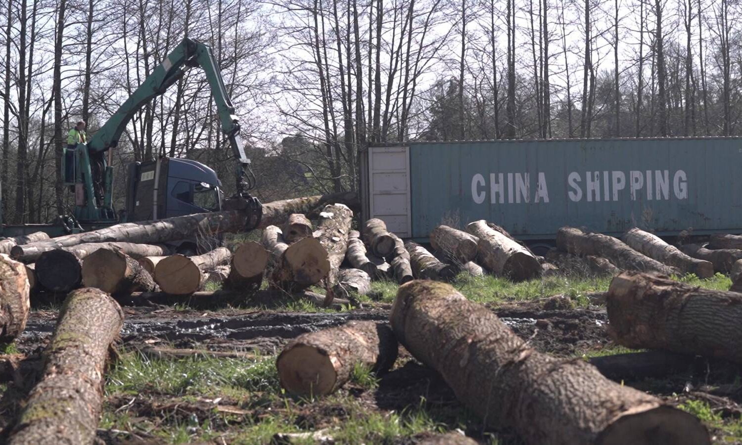 1 Ensemble De Séparateur De Bois De Chauffage À Main Foret - Temu