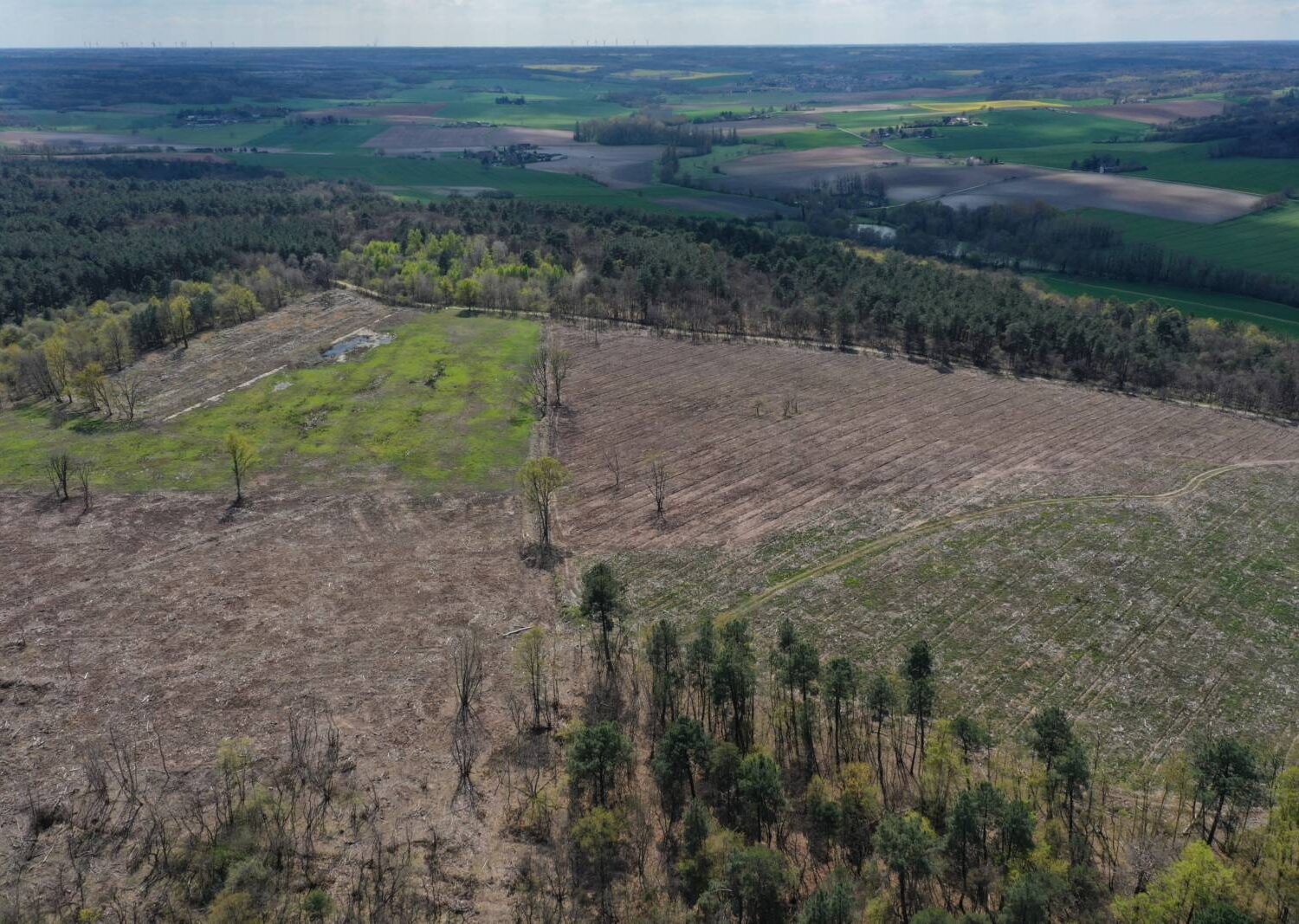 Enquête : le système alliance forêts bois - Canopée