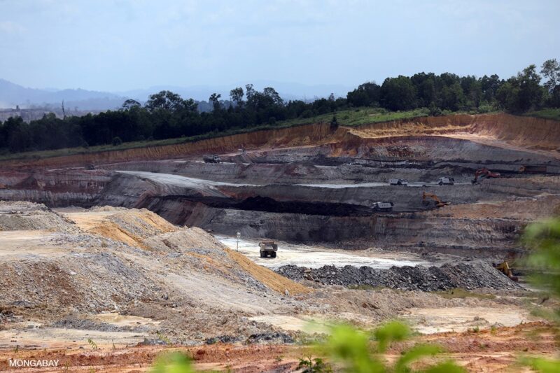 Exploitation minière et déforestation