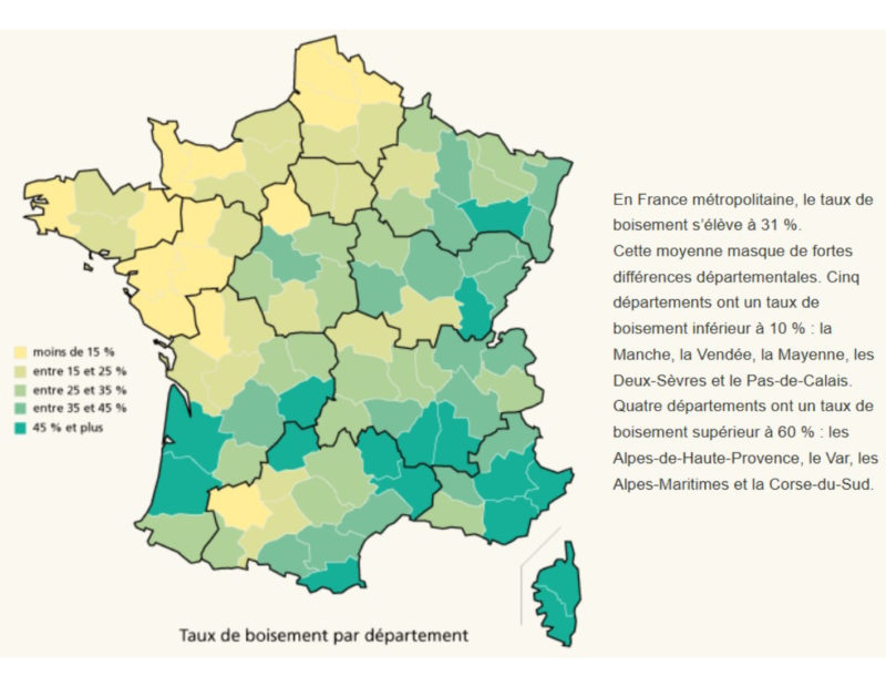 Boisement France