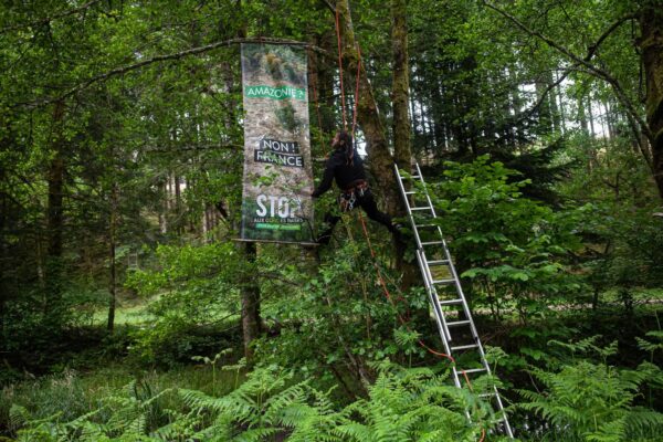 Lancement d’une campagne nationale contre les coupes rases