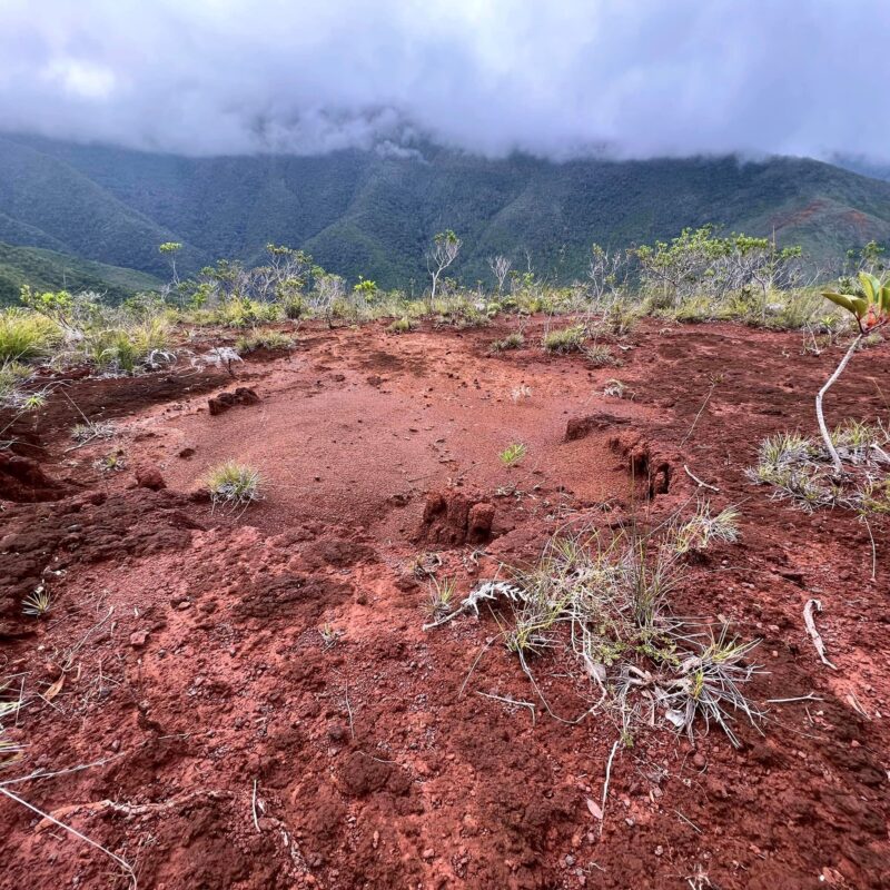 Source de la déforestation