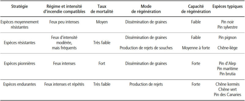 Stratégie adaptative des espèces ligneuses arborées méditerranéennes après incendie